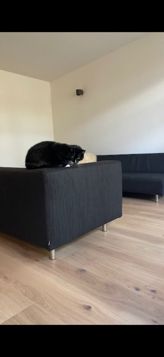 Image 1 of edra designer corner sofa, two-piece, anthracite, very high quality, newly upholstered