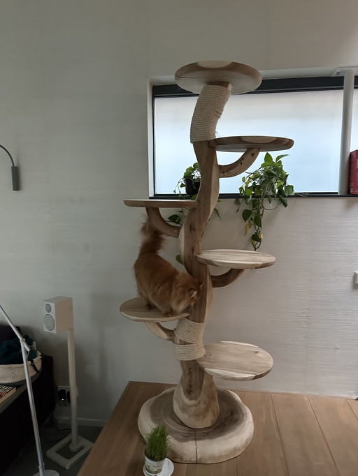 Árbol para gatos de madera, 2 metros de altura.
