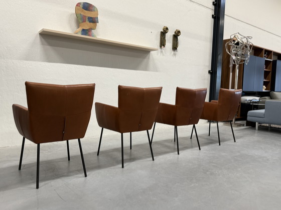 Image 1 of 4 Sillas de comedor Moka de diseño en stock Cera Cognac