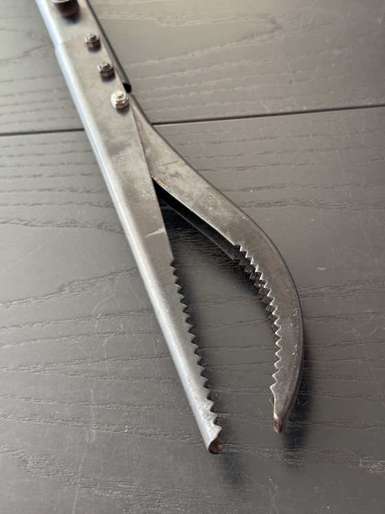 Image 1 of Alessi Hair tongs 'Leina' Designed By Architect Pep Bonet