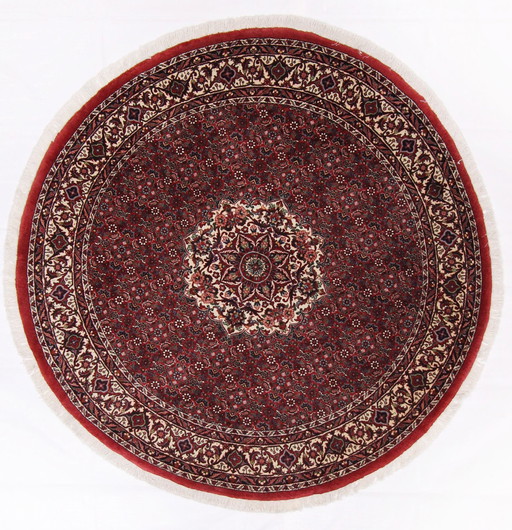 Tapis persan original noué à la main Bidjar Takab Très fin Noué 150 X 150 cm Top condition