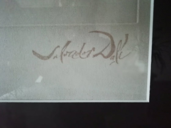 Image 1 of Lithograph Salvador Dali