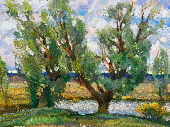 Image 1 of Original Vintage Oil Painting Natural Landscape
