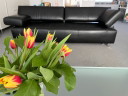 De Sede FSM Velas adjustable two-seater sofa black