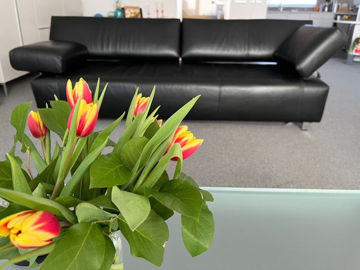 De Sede FSM adjustable two-seater sofa black leather