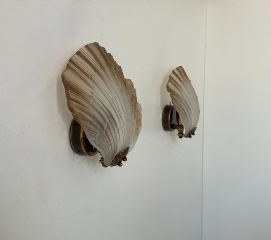 Image 1 of Coppia di appliques a conchiglia, vetro e ottone, Francia 1960