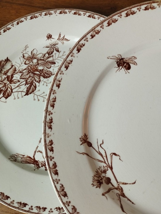 Image 1 of "Carmen" - 5 dinner plates ø 23.5cm ironstone Sarreguemines U&C