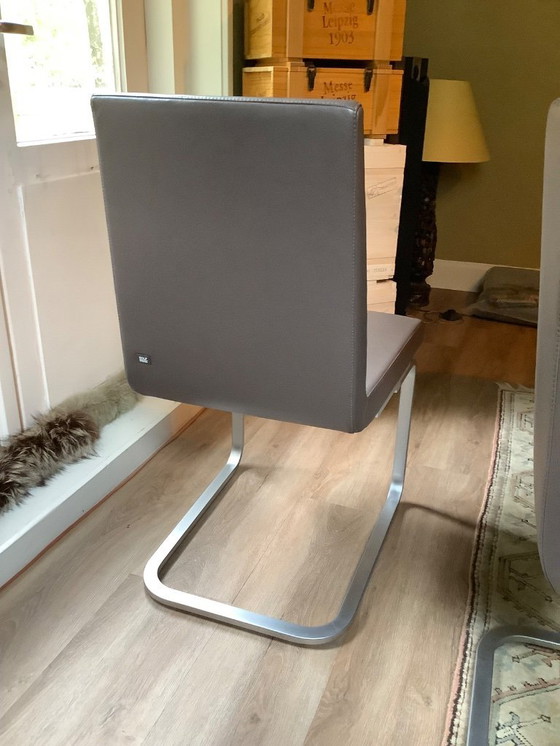 Image 1 of 4 x Rolf Benz Esszimmerstühle