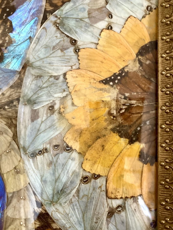 Image 1 of Composizione astratta incorniciata a forma di ali di farfalla