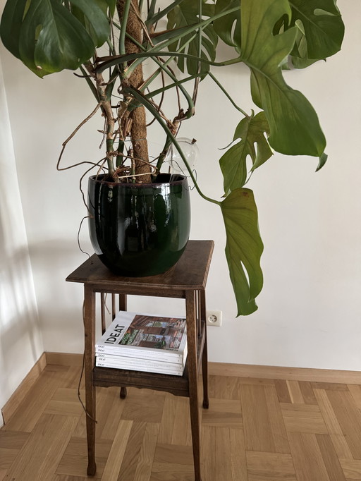Plant table