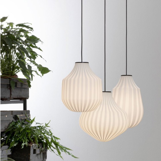 Image 1 of Zirkuslampen