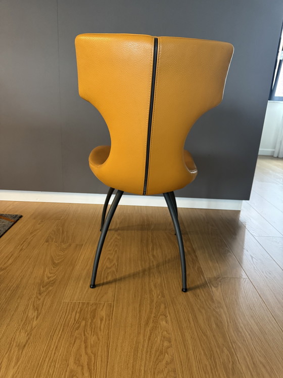 Leolux 6 Eetkamer Stoelen – Eetkamerstoelen, Leather, Metal (photo 4 of 6)