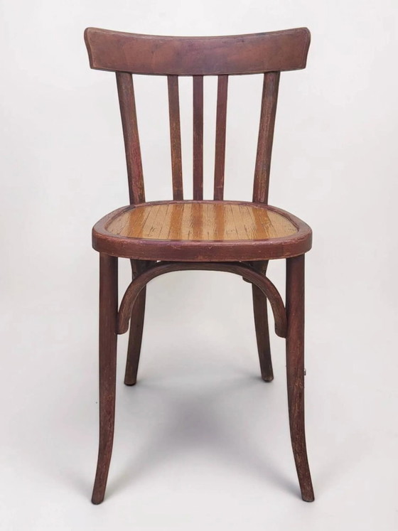 Sedia da bistrò in legno curvato – Sedie da pranzo, Wood (photo 2 of 15)