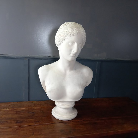 Image 1 of Busto excepcionalmente grande de tamaño natural de la Venus de Milo, busto grande de yeso