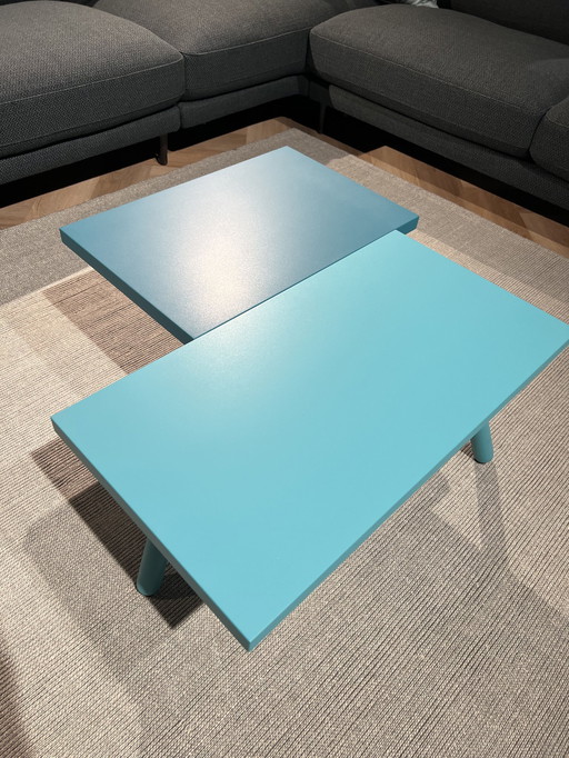 Leolux Pampa coffee table
