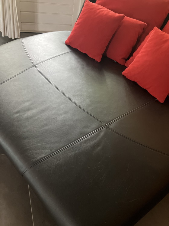 Rolf Benz Chaises longue – Leather, Textile (photo 13 of 15)