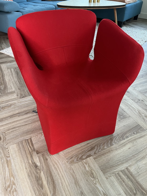 Image 1 of Moroso Bloomy