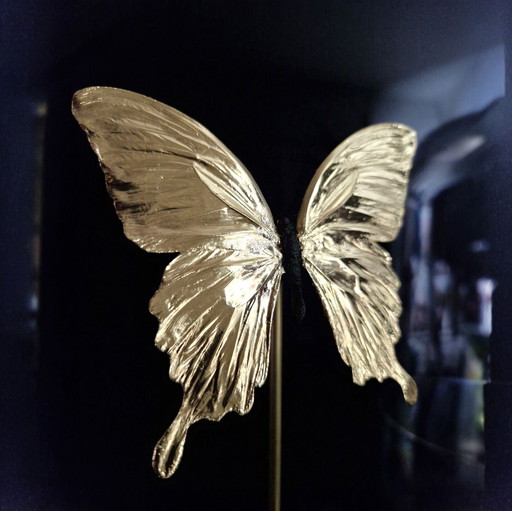 Genuine papilio butterfly gilded in 23kt gold under glass dome Butterfly Artwork