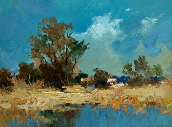Image 1 of Origineel olieverfschilderij: Kustlandschap langs een rivier, wandelend nabij een bosvijver.