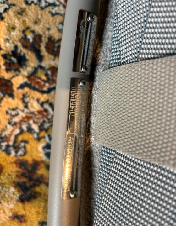 Image 1 of 4 B&B Italia Erica tuinstoelen dining arm chairs new production 2025