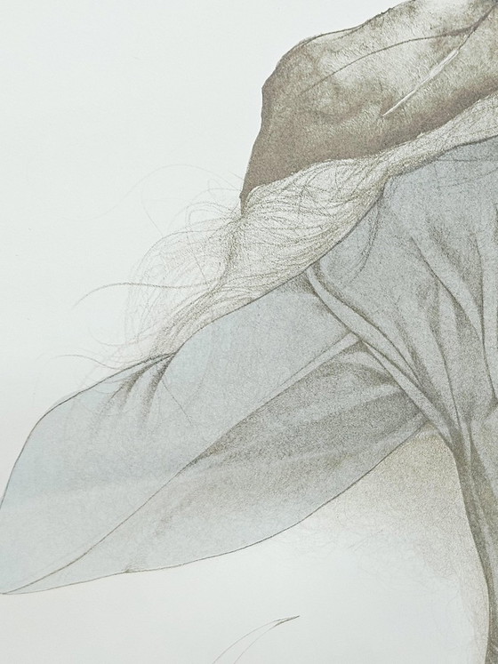 Bruno Bruni, Chiaro di Luna, 1987, Litho, Ingelijst – Litho's & Zeefdrukken (photo 11 of 18)