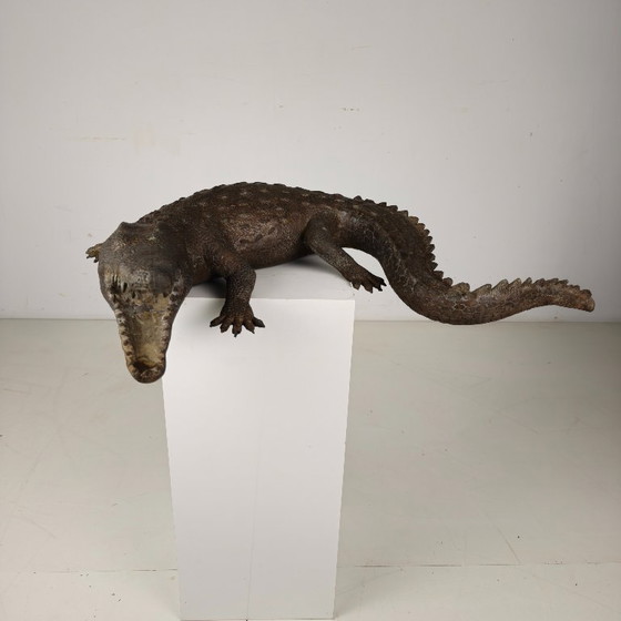Image 1 of Monumental bronze crocodile sculpture from the 20th century