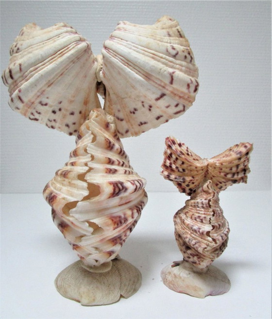 Image 1 of due gufi scultura vintage in conchiglia
