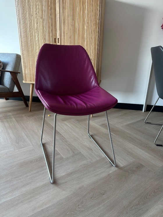 Image 1 of Sillas de comedor Bree's new world 4 piezas