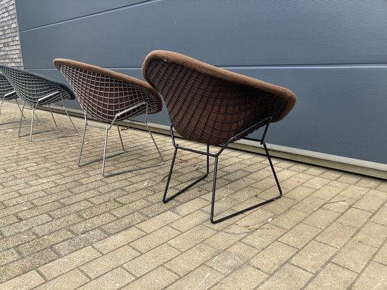 Image 1 of 2 chaises originales Knoll Bertoia Diamond