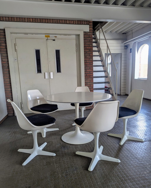 Tulipe dining set - Maurice Burke for Arkana 