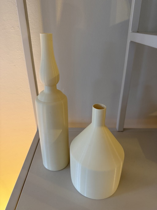 Lot de 2 vases Morandibio