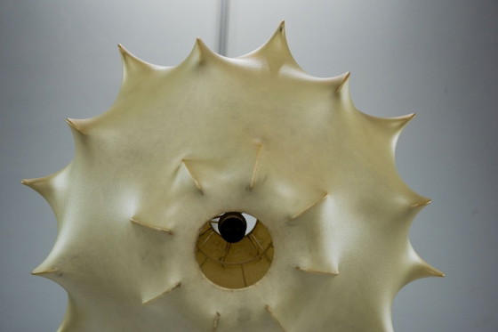 Image 1 of Rara lampada a sospensione in bozzolo di fiori di Taraxacum, prima edizione, anni '60.