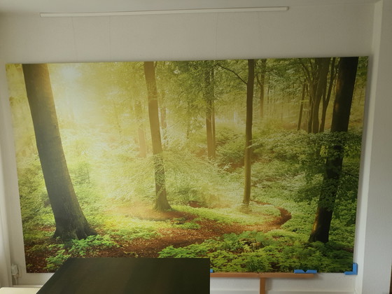 Image 1 of Wall-sized photo of a forest on aluminum 300 x 188 cm