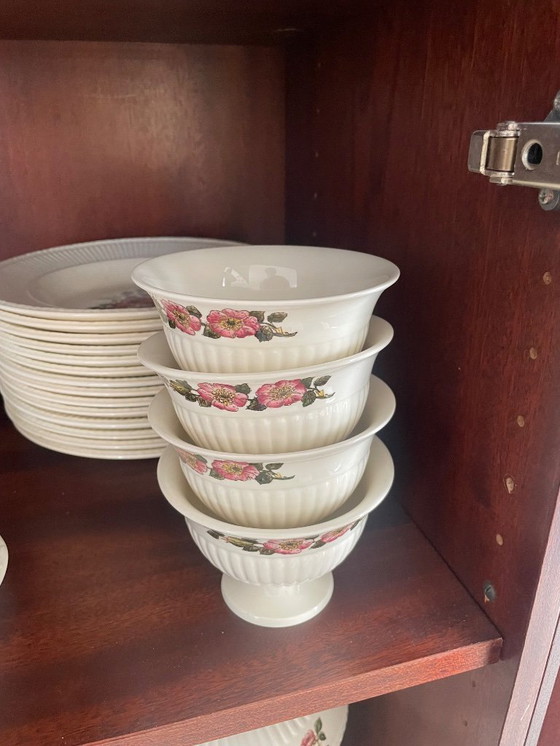 Image 1 of Set di cunei Briar Rose 105 pezzi