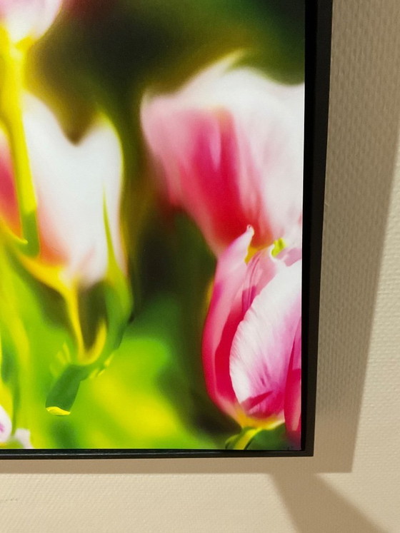 Image 1 of Photographie sur aluminium 60x60 cm sous cadre