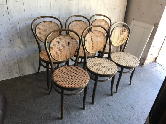 Dining Chairs in Wood Cane, Germany, 1960s, Set of 6 – Mid Century Modern (photo 7 of 8)