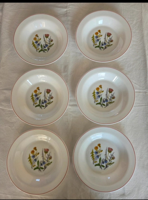 12-Piece Plates (6 + 6), Opal Glass/Milk Glass – Arcopal France, Crockery, Porcelain (photo 6 of 9)