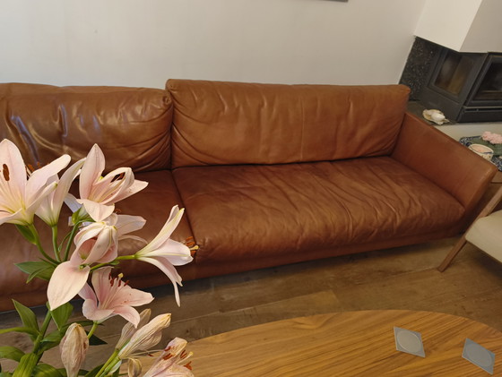 Image 1 of Montis Axel 5 Persone