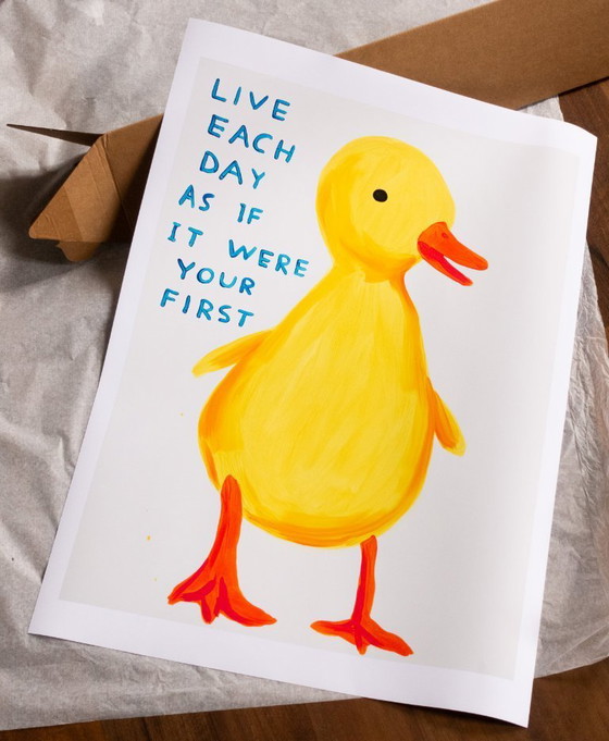 Image 1 of Leef elke dag alsof het je eerste is - David Shrigley - Poster 50 × 70 cm