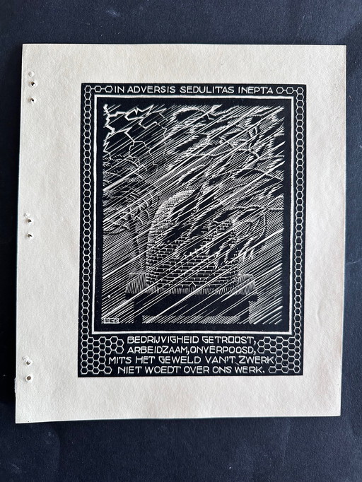 MC Escher Gravure sur bois 1931 Ruche