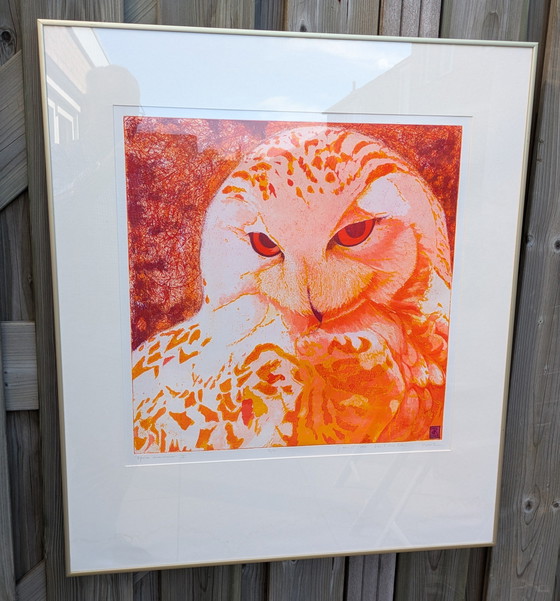 Image 1 of Large Coloring Set Snowy Owl Toni de Klerk