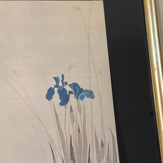 Image 1 of Tableau ancien Iris lithographie fleur 