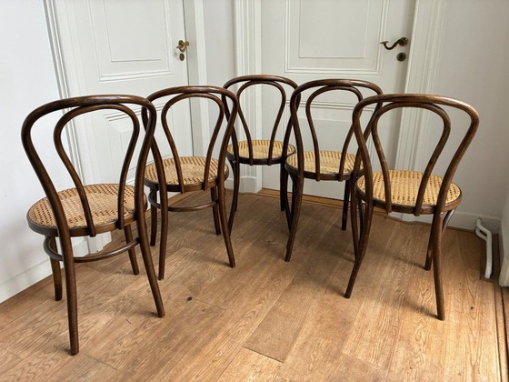 Image 1 of Set di 5 sedie Thonet n. 18 di ZPM Radomsko