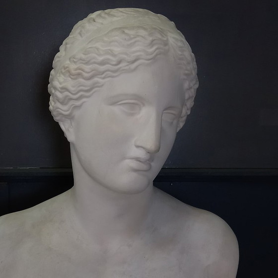 Image 1 of Busto excepcionalmente grande de tamaño natural de la Venus de Milo, busto grande de yeso