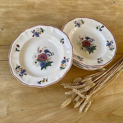 Lot de 6 assiettes Sarreguemines