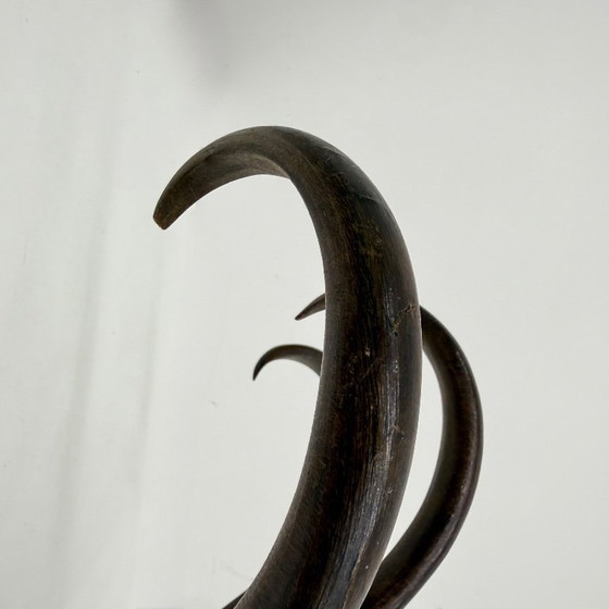 Image 1 of Perchero antiguo de pared de madera curvada de Thonet, década de 1930.