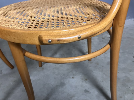 Image 1 of Thonet 233 replicas bentwood webbing vintage
