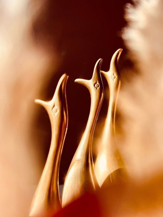 Image 1 of Set, Schöne Messing-Enten