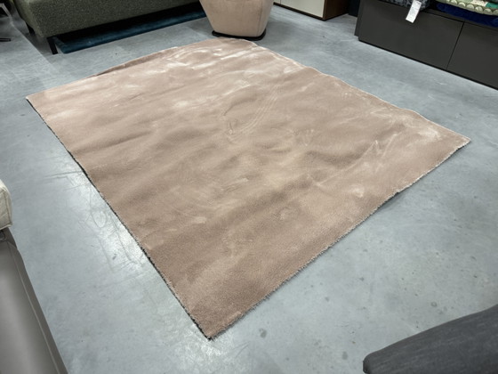 Image 1 of Brink En Campman Ripe Rug 200X245