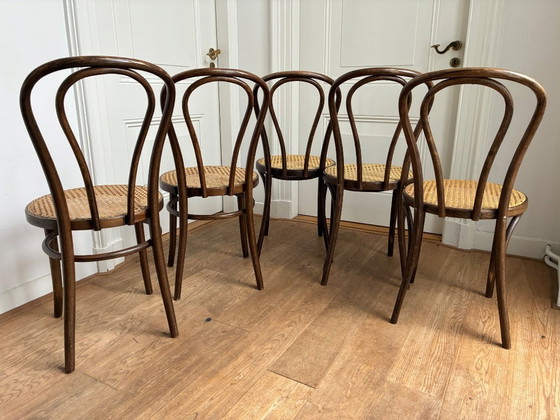 Image 1 of Set di 5 sedie Thonet n. 18 di ZPM Radomsko